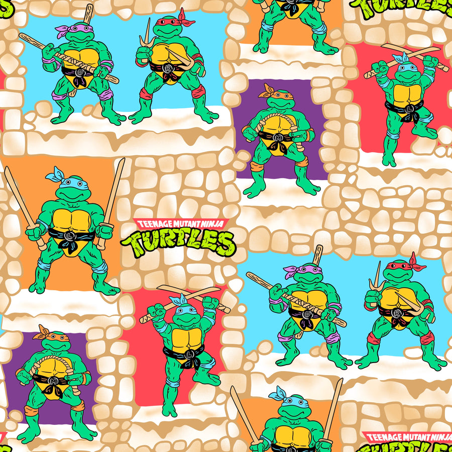 Turtle Dreams